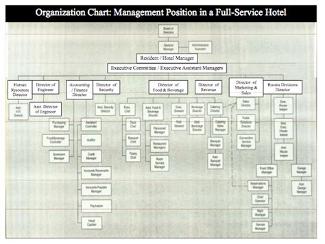 A sample organization chart of a commercial hotel is following as: cirome: HOTEL & RESORTS CH6: Hotel Organization