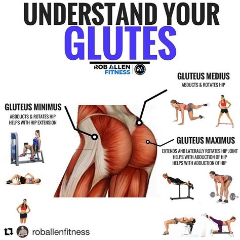 Kurt Rawlins Bs Cscs On Instagram Follow This Guy Roballenfitness To Hit Your Glutes From