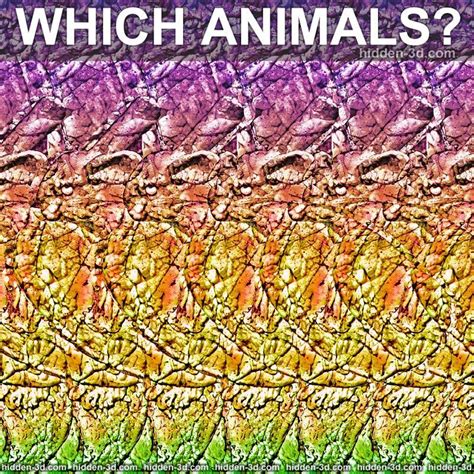 Stereogram By 3dimka How Many And Which Animals Tags Turtle Bunny