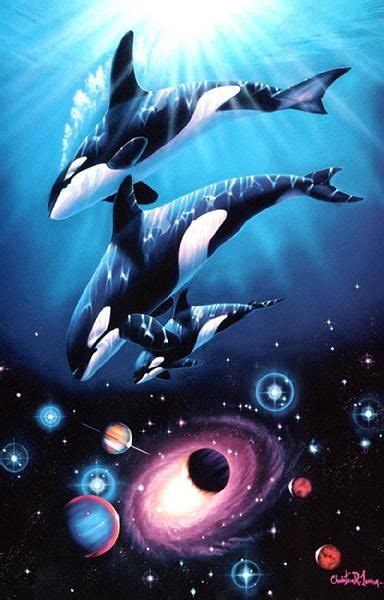 Brings Back Memories Arte Orca Orca Art Dolphin Art Orcas Whale
