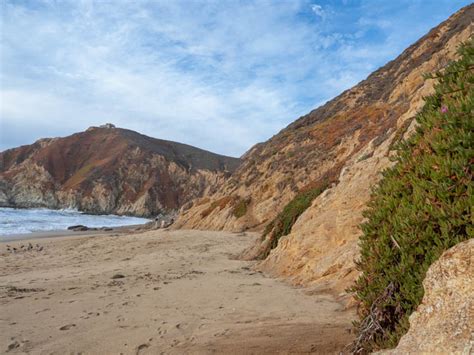Gray Whale Cove State Beach Park Everything You Need To Know
