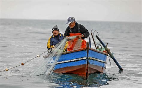 Ministerio De La Producción Distinguirá A Los Mejores Pescadores