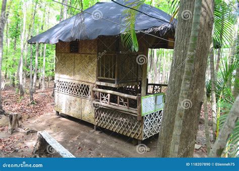 Traditional Nipa House In The Philippines Stock Photo Image Of