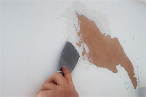 How To Repair Peeling Paint On Plaster Walls Harris