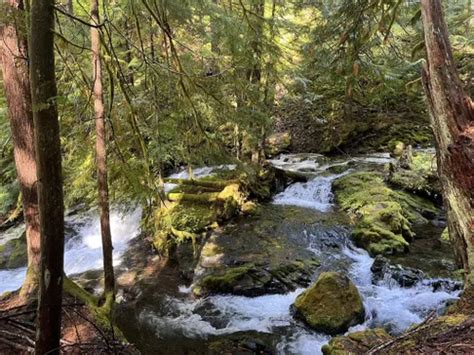 10 Best Waterfall Trails In Ford Pinchot National Forest Alltrails