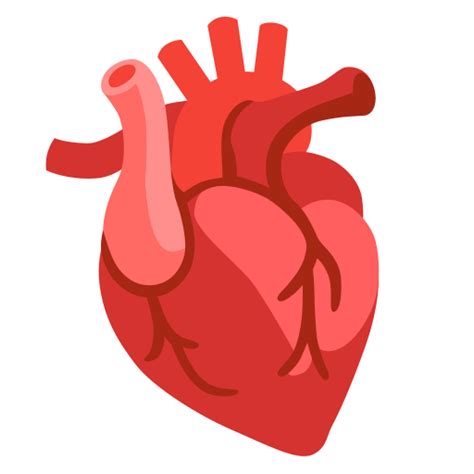 🫀 Corazón Humano Emoji