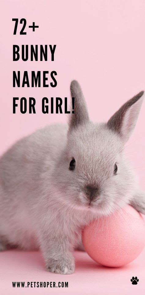10 Bunny Names Ideas Bunny Names Funny Names Bunny