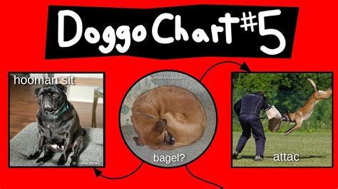 Doggo Chart Part 5 Youtube