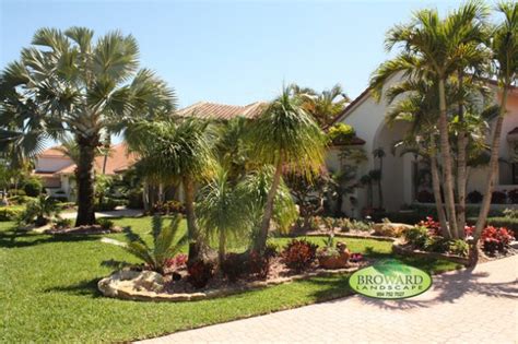 For example, mexican fan palms live for an. 19 Exceptional Ideas To Decorate Your Landscape With Palm ...