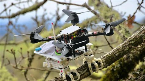 Snag Biomimetic Robot Grasps Like A Falcon