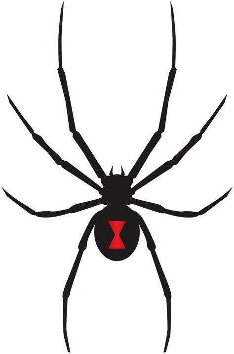 Download Black Widow Svg For Free Designlooter 2020 👨‍🎨