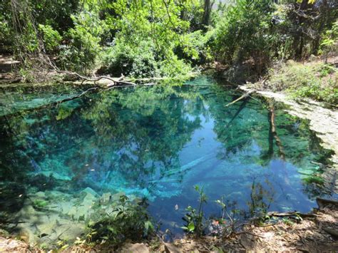Goias, maranhao are two separate states of brazil and most important for various reasons. Poço Azul, Distrito de Bezerra - Goiás | Trilhando Montanhas