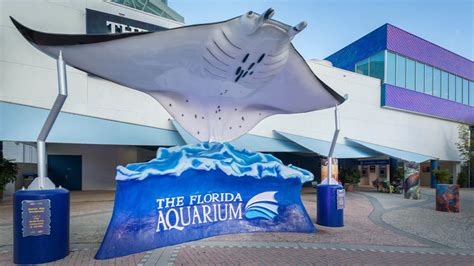 Florida Aquarium Will Open New Exhibits And A Rooftop Pavilion In 2020