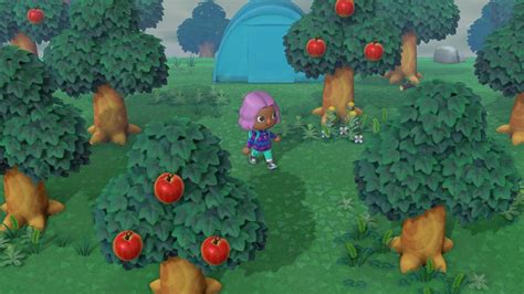 All New Bugs In July Animal Crossing New Horizons Shacknews