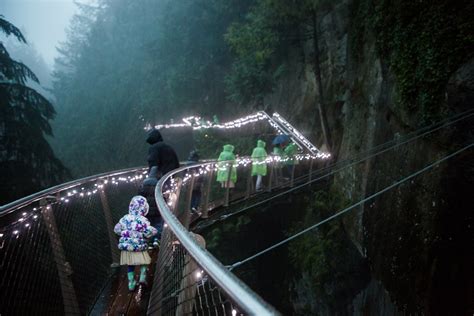 Talk Nerdy To Me Capilano Suspension Bridge Canyon Lights