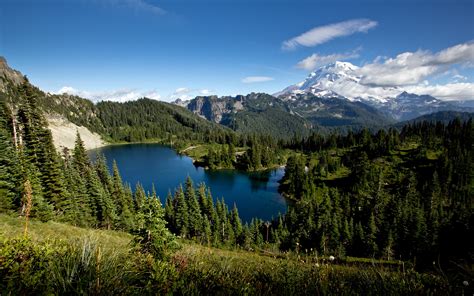 Wallpaper Trees Landscape Forest Mountains Lake