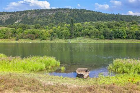 Green Scenery With River Stock Photo Image Of Park 147583366