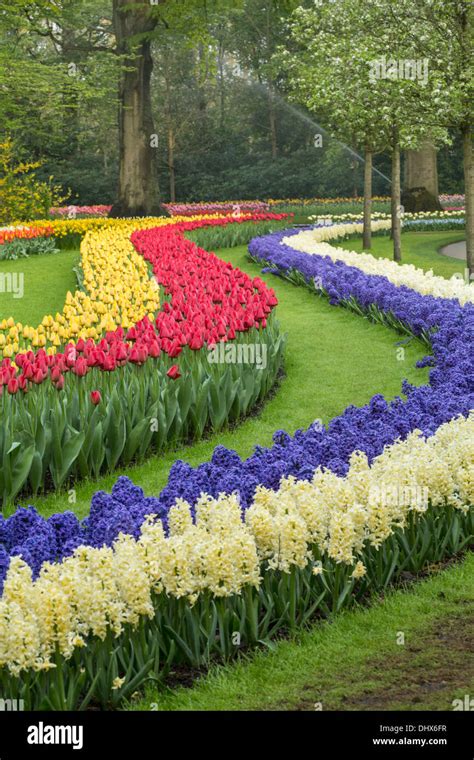 Netherlands Lisse Keukenhof Gardens Stock Photo Alamy