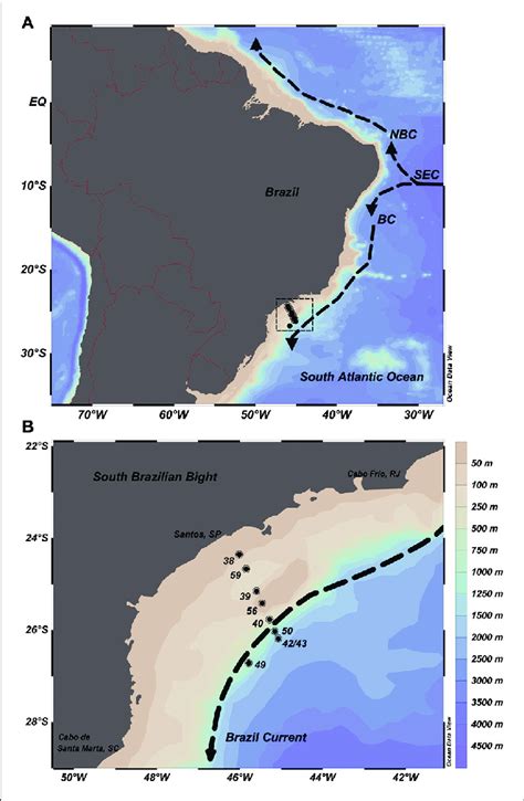 Sampling Map On The Brazilian Continental Shelf Southwestern