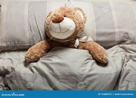 Brown Teddy Bear Laying In Bed Furry Doll Sweet Sleep Stock Image