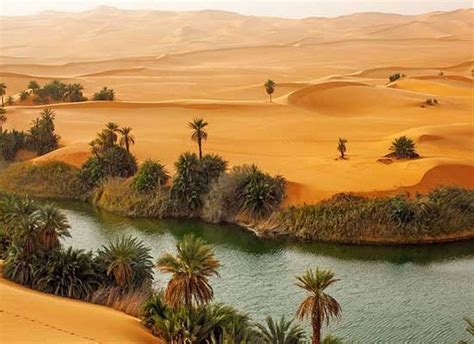 Oasis Sahara Deserts Of The World Amazing Places On Earth Libya