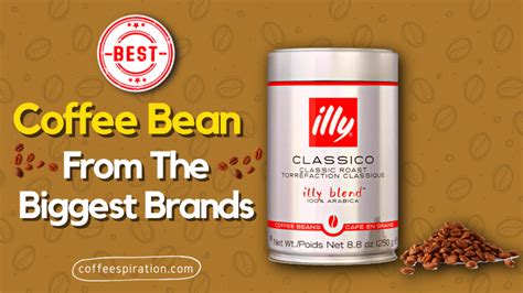 Best Coffee Bean From The Biggest Brands In The World