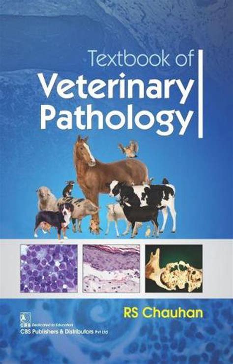 Textbook Of Veterinary Pathology By Rs Chauhan English Paperback