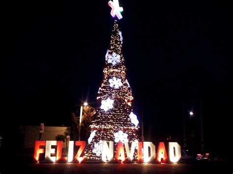 FileÁrbol De Navidad En Actopan Hidalgo En México 2015