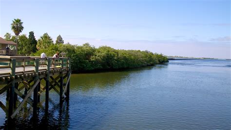 Manatee Viewing Center In Apollo Beach Florida Expediaca