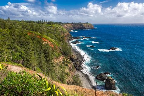 This green island paradise is found in the middle of the south years later the first fleet arrived in botany bay, (new south wales, australia) in 1788, lieutenant philip. Your guide to planning a Norfolk Island holiday