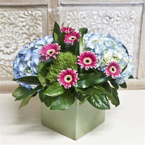 Sa san diego floral des. SKY BLUE in San Diego, CA | Wholesale Flowers