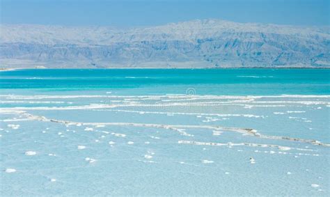 Beautiful Coast Of The Dead Sea Stock Photo Image Of Place Mountain