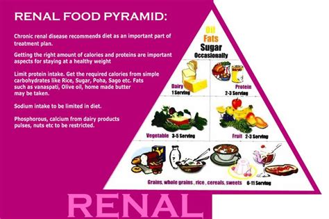 There are four types of nutrients in food that can affect your blood sugar http://renaldiet.us/ Renal diet recipes. | Kidney diet ...