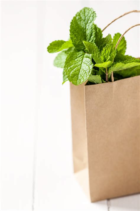 Simple Methods For Drying Mint Leaves To Store Them For