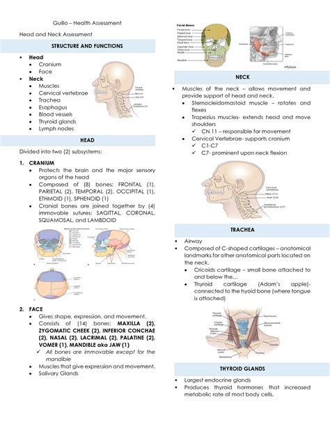 Solution Head And Neck Assessment Lecture Notes Studypool