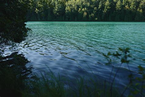 무료 이미지 바다 나무 자연 숲 잔디 햇빛 아침 잎 호수 강 못 녹색 반사 저수지 물줄기 대기