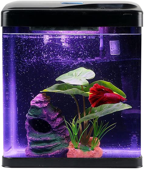 Coospider 2 Gallon Glass Betta Fish Tank Kit Mini Aquarium Tank Small