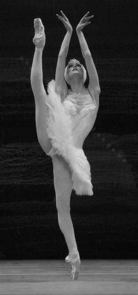 Photography Of Prima Ballerina Svetlana Zakharova In Swan Lake Ballet