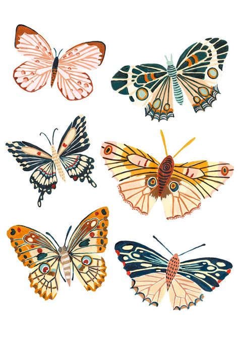 Butterfly Illustration Butterfly Mania
