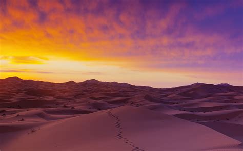 Sand Dunes Illuminated At Sunrise Erg Chebbi Sahara Desert Morocco