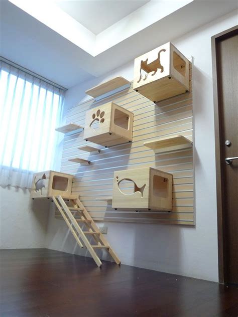 Cat Friendly Home Ideas More Animal Room Animal House Cat Room Diy