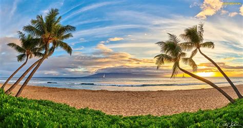 Tapety Zdjęcia Palmy Wyspa Maui Hawaje Żaglówki Wschód Słońca