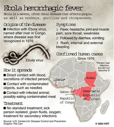 8 Things You Must Know About Ebola Virus Xcerta