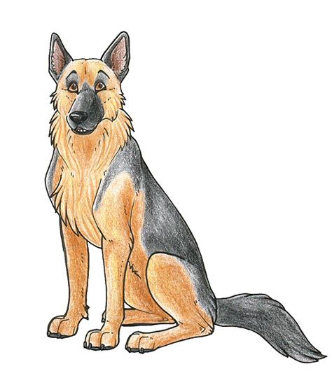 How To Draw A German Shepherd Easy Step By Step