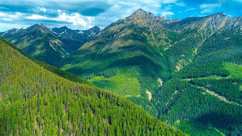 Download Wallpaper 2560x1440 Mountains Forest Slope Landscape Green