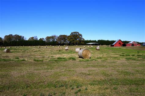 Bales Of Hay Background Free Stock Photo Public Domain Pictures