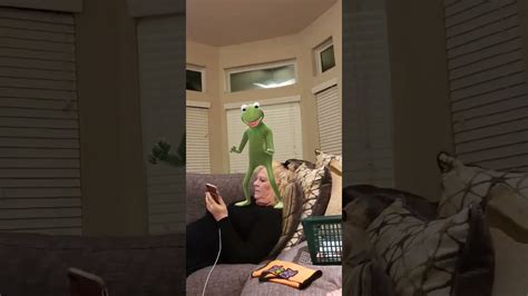 Don T Let Kermit Twerk On Ur Mom At 3 Am Prank Gone Wrong Youtube