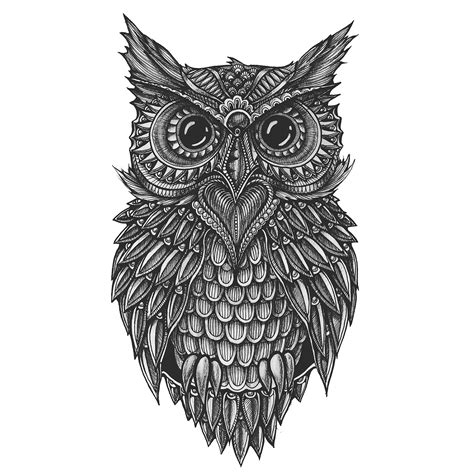 Doodle Owl on Behance