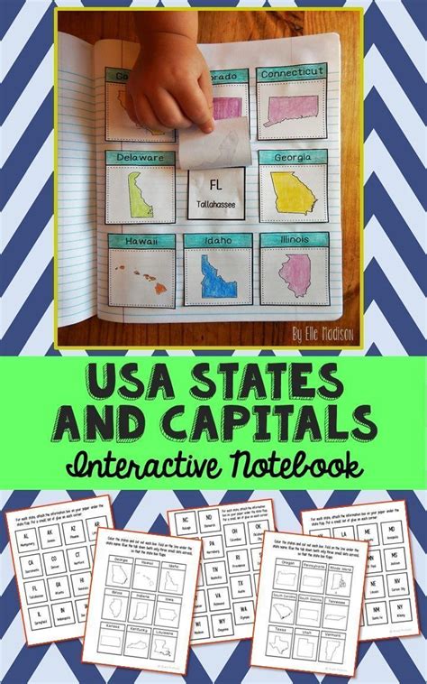 United States Of America Capitals And Abbreviations Social Studies