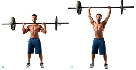 How To Overhead Press A Beginners Guide Muscle Building Workouts